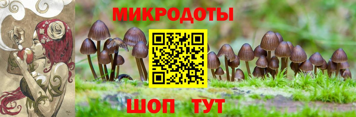 Алейск  хочу   Вход с VPN  Псилоцибиновые грибы MAGIC MUSHROOMS 