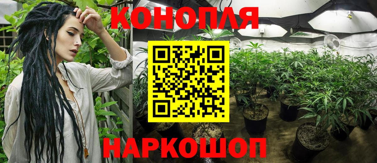 Шишки марихуана марихуана Алейск